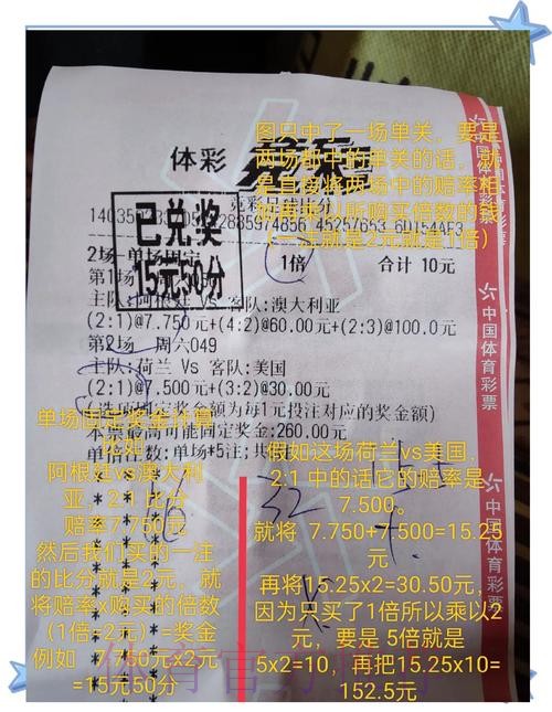 全面解析世界杯投注比例趋势 全面解析世界杯投注比例趋势